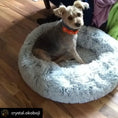 Bild in Galerie-Betrachter laden, Mr. Peanut's OrthoPlush Pet Bed, 23in gray two-tone donut style with a small dog inside
