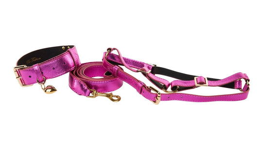 Luxury Pink Heart Locket Collar Harness Set For 30-60lbs by Allysa Payne Beverly Hills