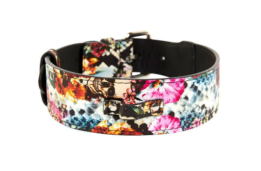 Italian leather collar in vibrant floral skull and snake print with silver hardware