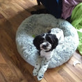 Bild in Galerie-Betrachter laden, Mr. Peanut's OrthoPlush 23in gray two-tone donut dog bed
