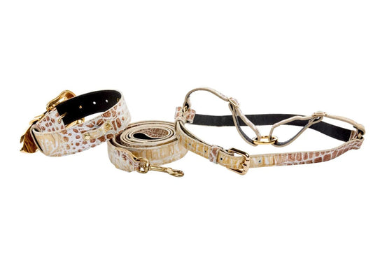Bella Pet Italian Leather Croc Harness Set With Swarovski Crystals by Allysa Payne Beverly Hills