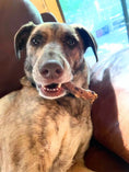 Load image into Gallery viewer, Chicken Necks dog treats by Naked Beasts; dog chewing on a chicken neck
