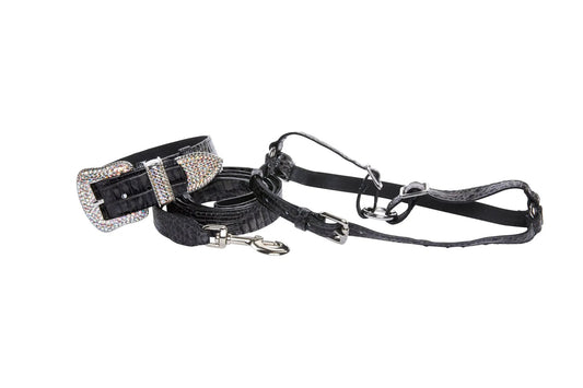 Croc Italian Leather Harness Set With Swarovski Crystals by Allysa Payne Beverly Hills