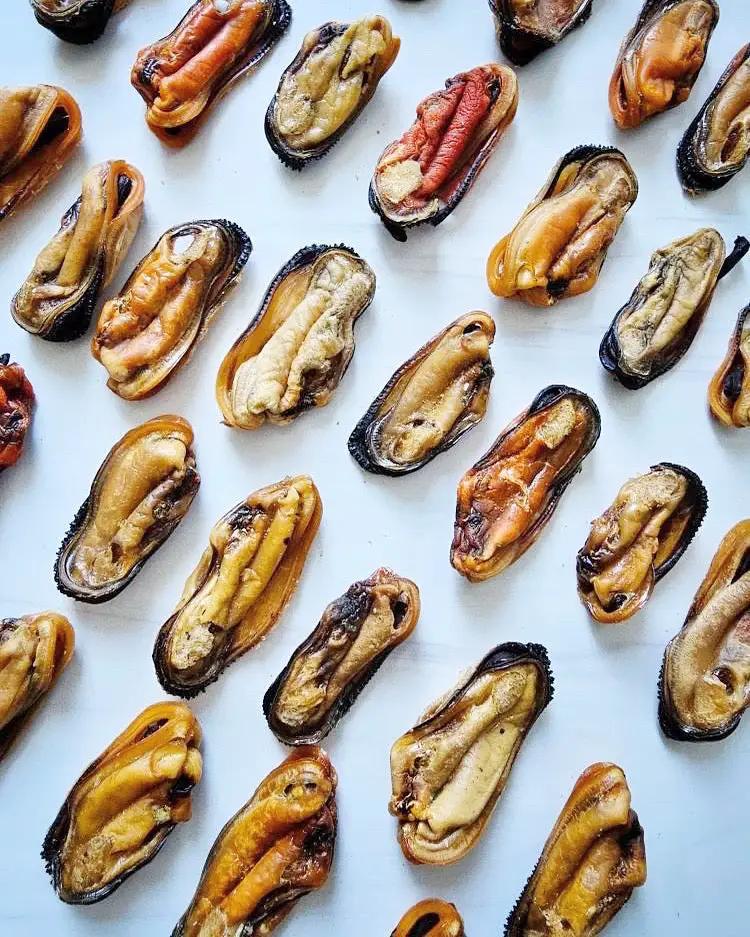 Green Lipped Mussels dried small animal treats, dozens of orange-brown mussel pieces scattered on white background
