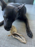 Load image into Gallery viewer, Lamb Ears by Naked Beasts dog chew toy with furry and non-fur textures; beige ear
