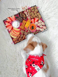 Carica l'immagine nel visualizzatore della galleria, Naked Beasts chicken gizzards in a colorful dog-treat gift box with assorted snacks.
