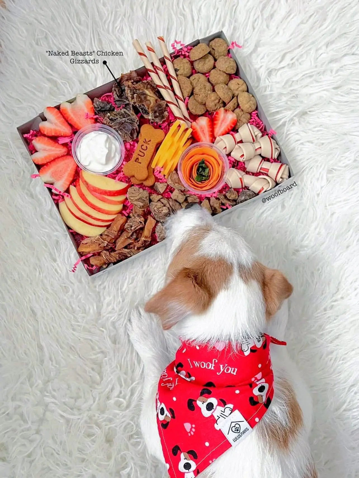 Naked Beasts chicken gizzards in a colorful dog-treat gift box with assorted snacks.