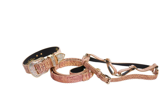 Aria Pet Leather Collar Swarovski Crystal Detail by Allysa Payne Beverly Hills