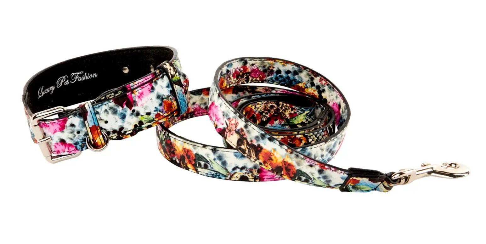 Two-piece multicolor floral skull-snake print Italian leather collar and leash set with silver hardware