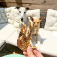 Load image into Gallery viewer, Shrimp by Naked Beasts, dried brown shrimp snack held up in foreground with two dogs on a white couch in background
