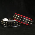 Carica l'immagine nel visualizzatore della galleria, "Rocky" collar - Pet Collars & Harnesses from Bestia Dog Gear
