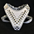 Carica l'immagine nel visualizzatore della galleria, 'Star'' Harness Small to Medium size - Pet Collars & Harnesses from Bestia Dog Gear
