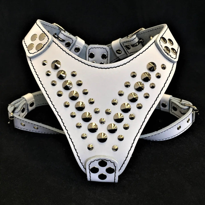Bestia Star Leather Dog Harness