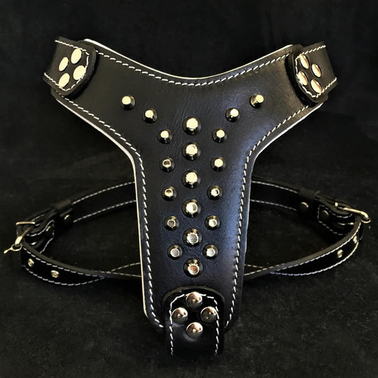 The "Rocky" studded leather harness Small to Medium Size - Pet Collars & Harnesses from Bestia Dog Gear