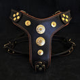 Load image into Gallery viewer, The ''Bijou'' harness Black & Orange Small to Medium Size - Pet Collars & Harnesses from Bestia Dog Gear
