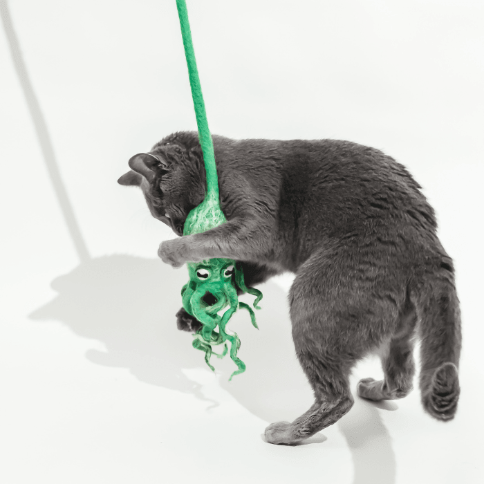 Ink Floyd wool octopus cat toy with green tentacles hanging from a string