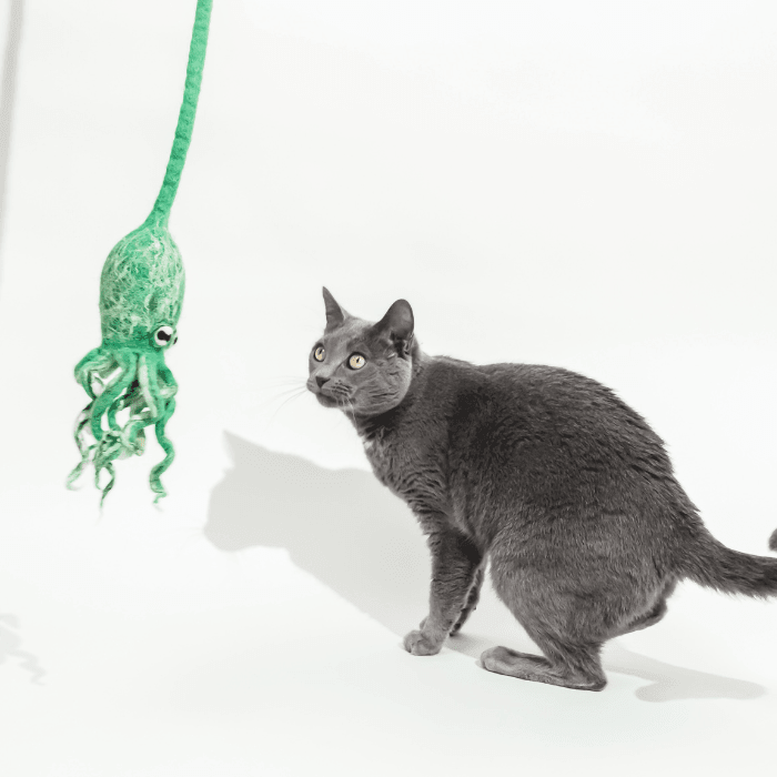 Ink Floyd wool octopus cat toy; green hanging octopus beside a curious gray cat.
