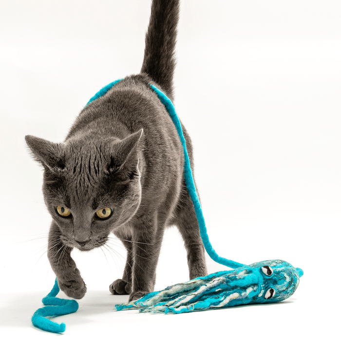 Ink Floyd wool octopus cat toy in teal-blue with plush tentacles for cats.