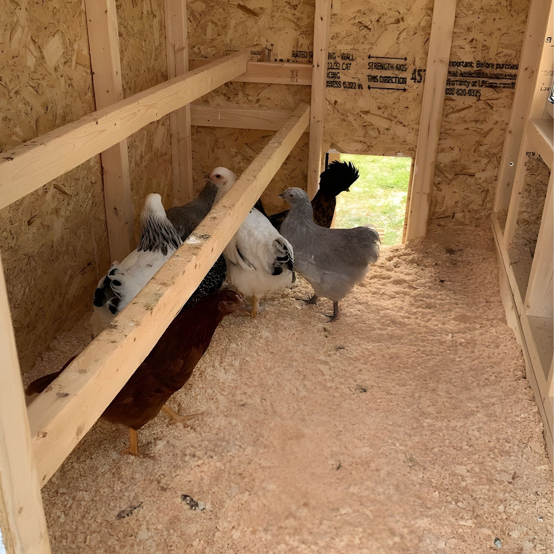 Medium Chicken Coop - Up to 10 Chickens