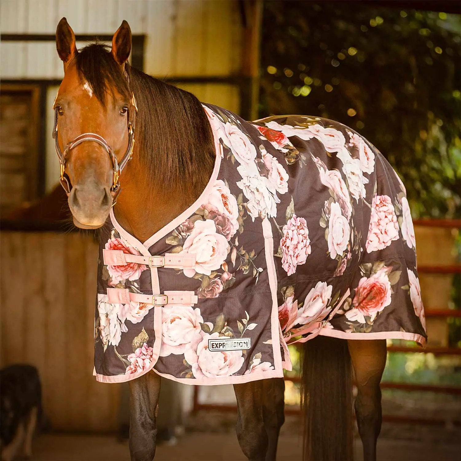 Jeffers Expression 1200 Denier Standard Neck Horse Turnout Sheet, 0 Gram