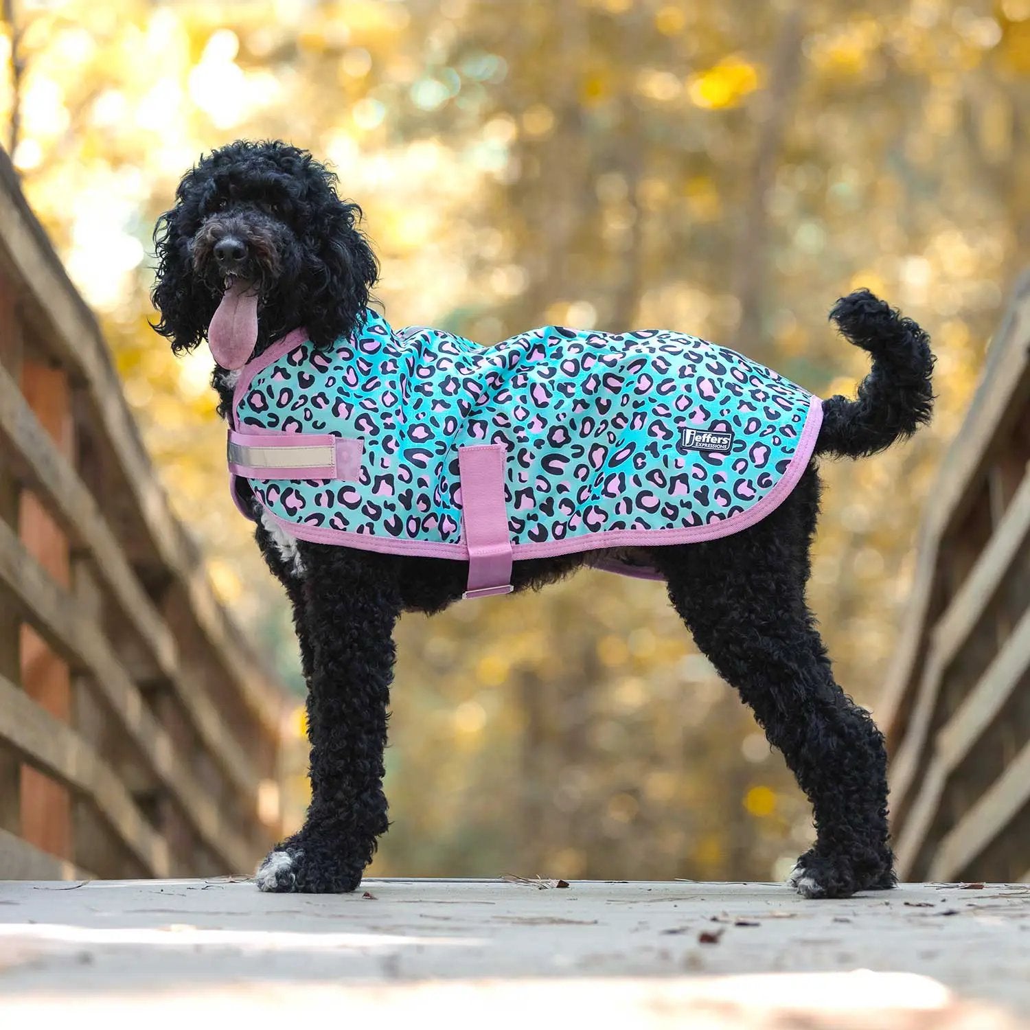 Jeffers Expression 600D waterproof ripstop dog coat in turquoise with pink leopard print, 240g