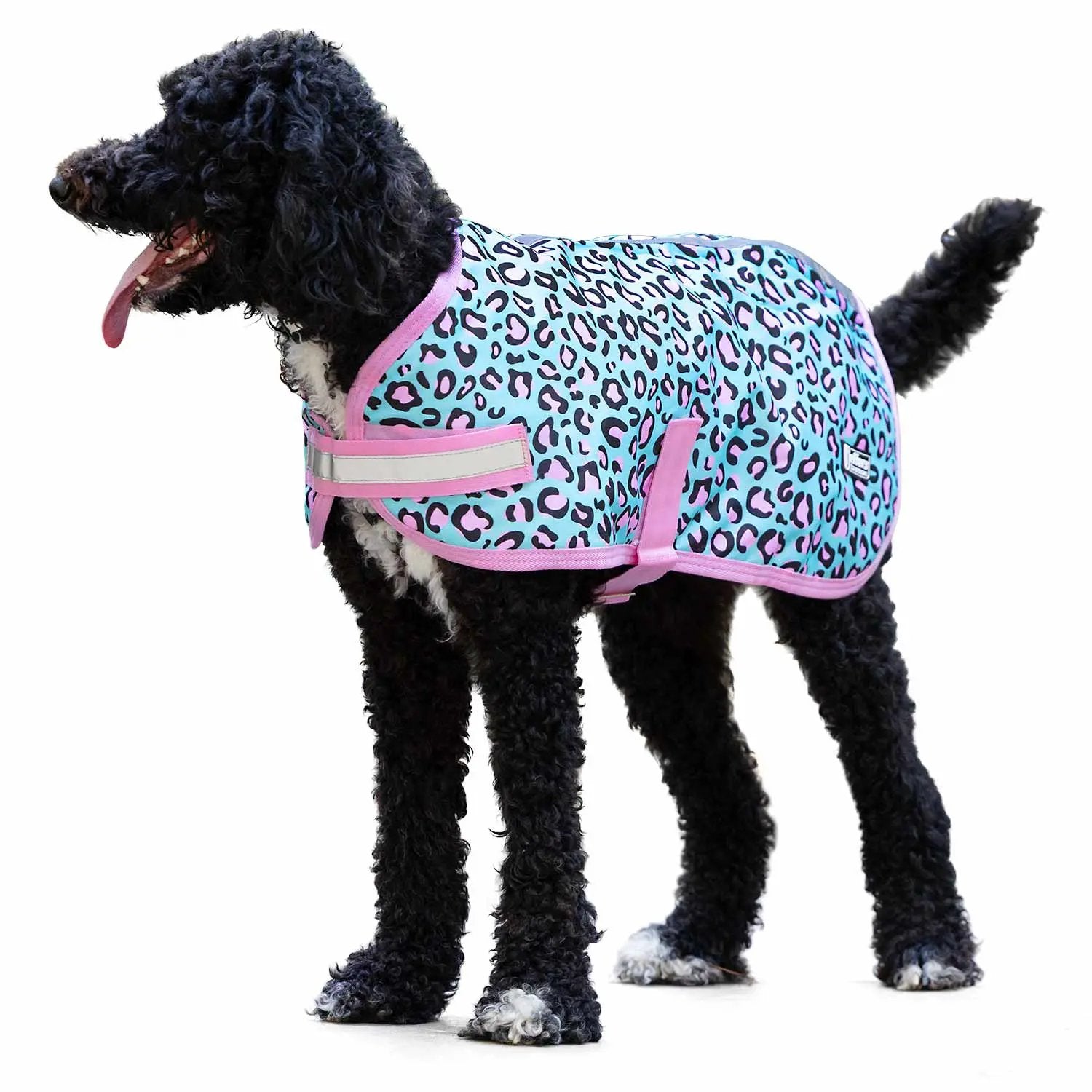 Jeffers Expression 600D Waterproof Ripstop Dog Coat in turquoise with pink leopard print and pink trim, 240 g