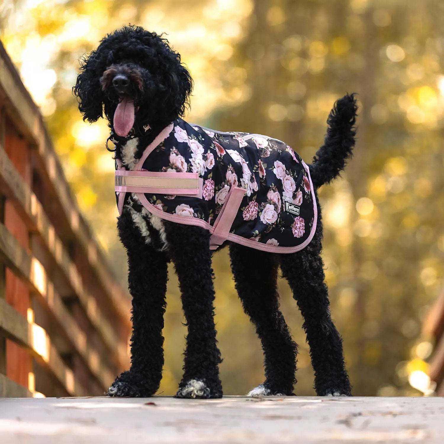 Jeffers Expression 600D Waterproof Ripstop Dog Coat with black floral pattern and pink trim