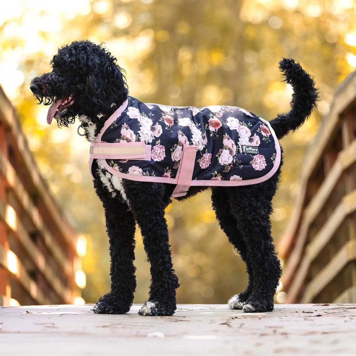 Dog coat: Jeffers Expression 600D waterproof ripstop with navy floral print and pink trim; Jeffers logo patch visible.