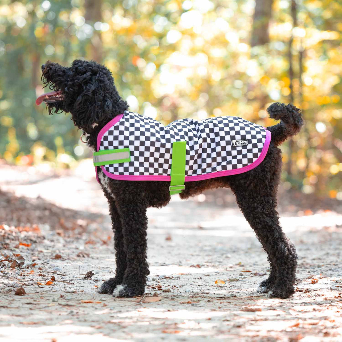 Jeffers Expression 600D Waterproof Ripstop Dog Coat, black/white checkered with pink trim and neon-green straps