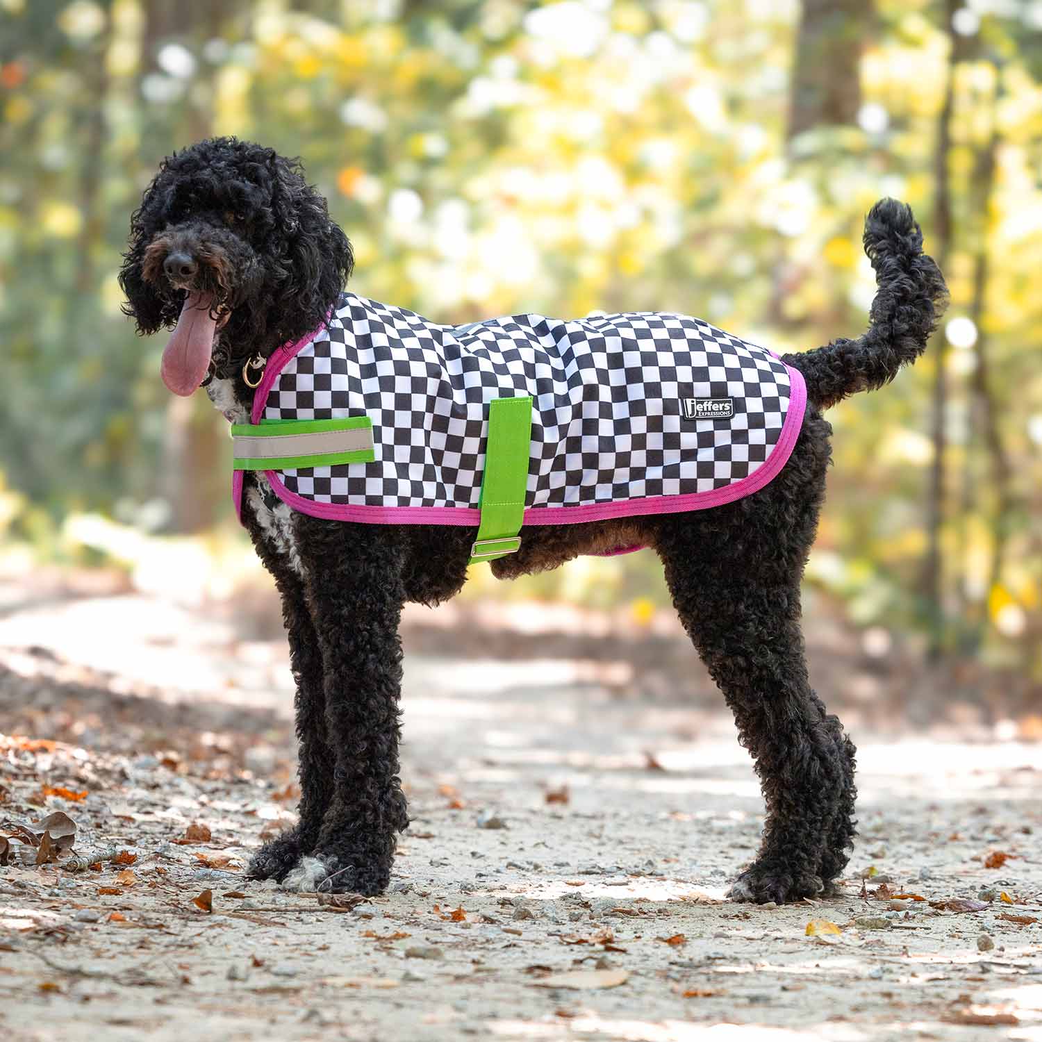 Jeffers Expression 600D waterproof ripstop dog coat with black-and-white checkered fabric, pink trim, and green straps.