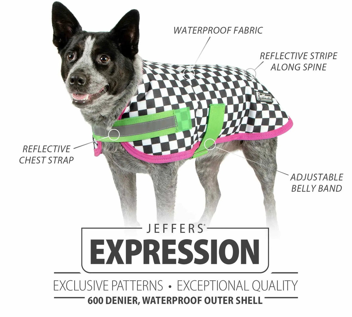Jeffers Expression 600D waterproof dog coat with black-and-white checker pattern and green straps