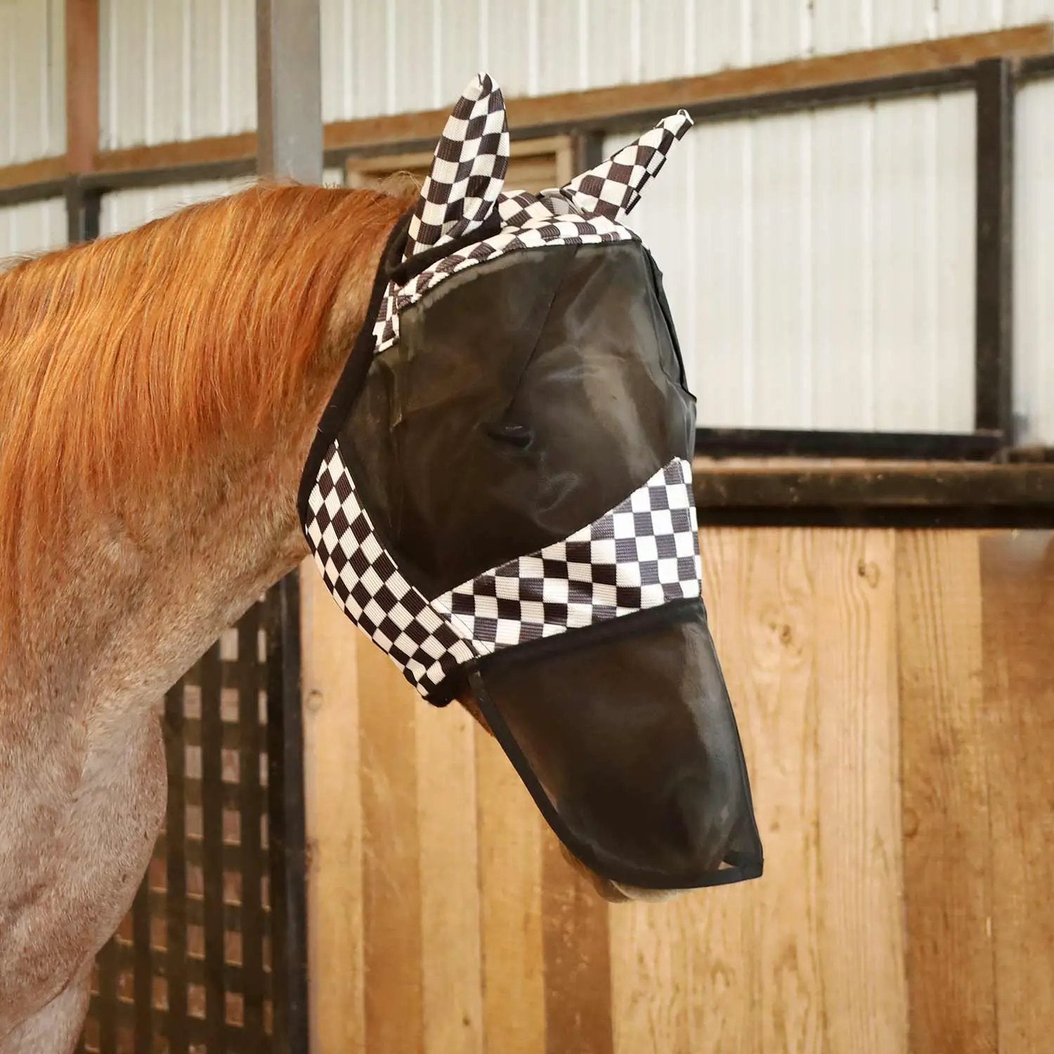 Jeffers Expression Deluxe mesh horse fly mask with ears and nose, black mesh with checkered trim
