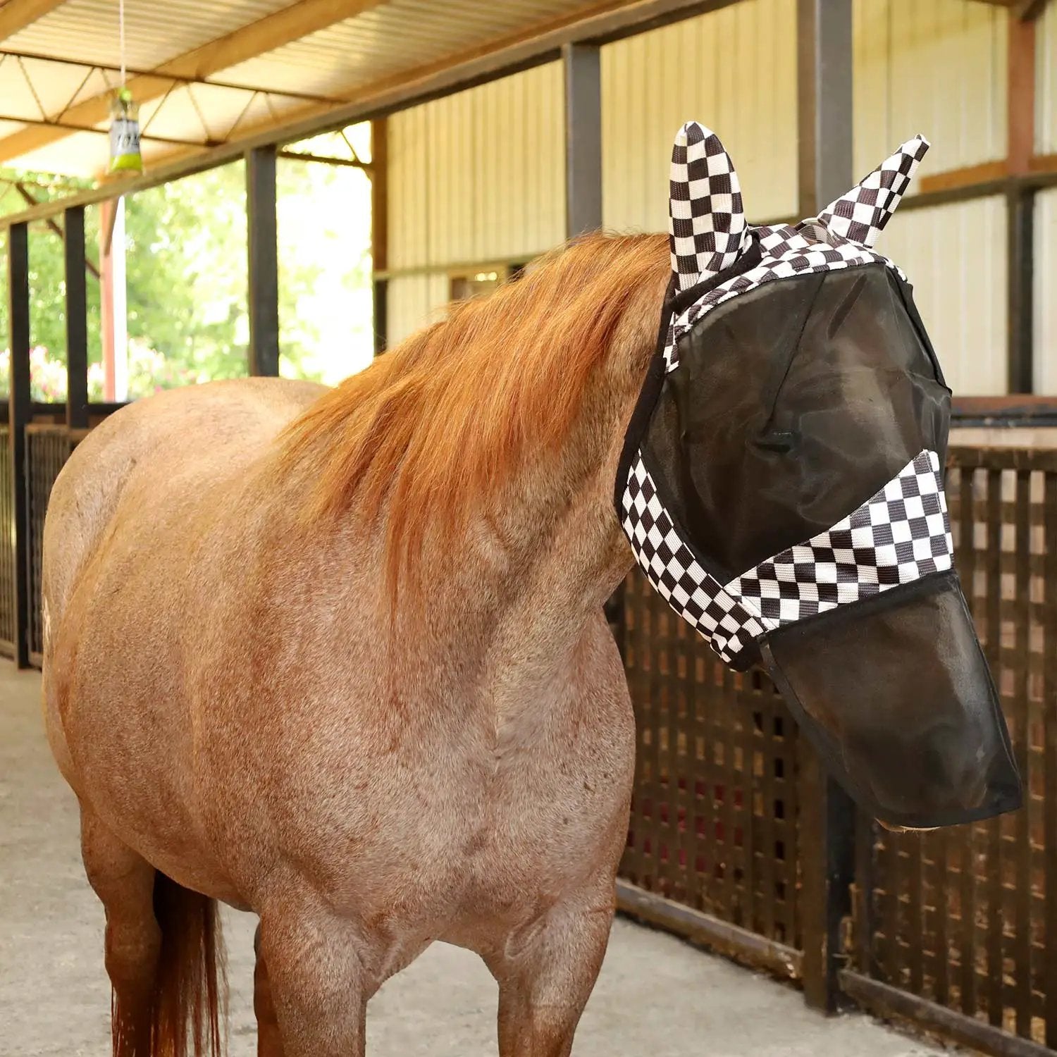 Jeffers Expression Deluxe Mesh Horse Fly Mask with Ears and Nose, black mesh with checkered ear trim