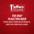 Load image into Gallery viewer, Jeffers Elite Fleece Horse Cooler Blanket
