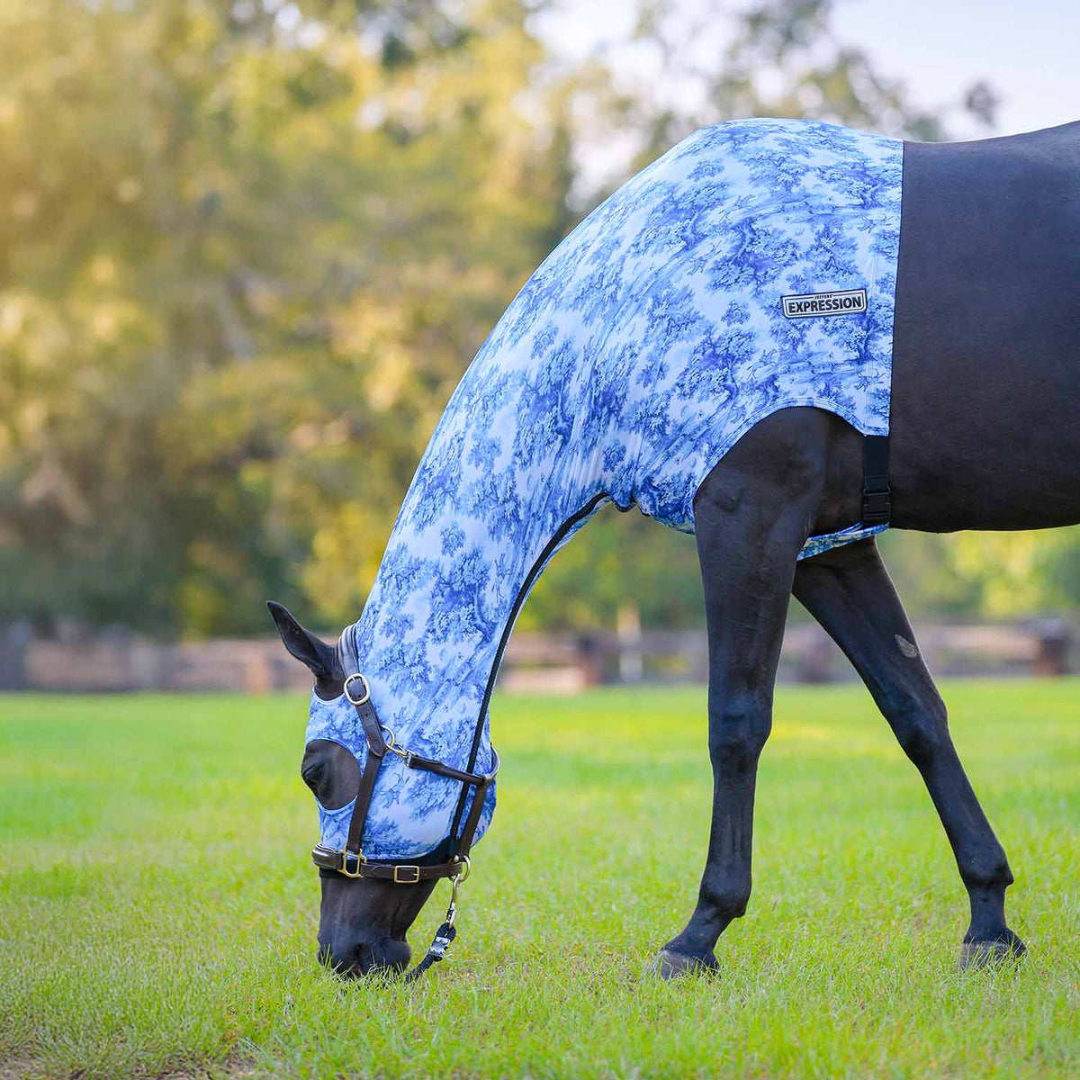 Jeffers Expression Lycra Hood for Horses, blue patterned Lycra fly hood on a grazing horse