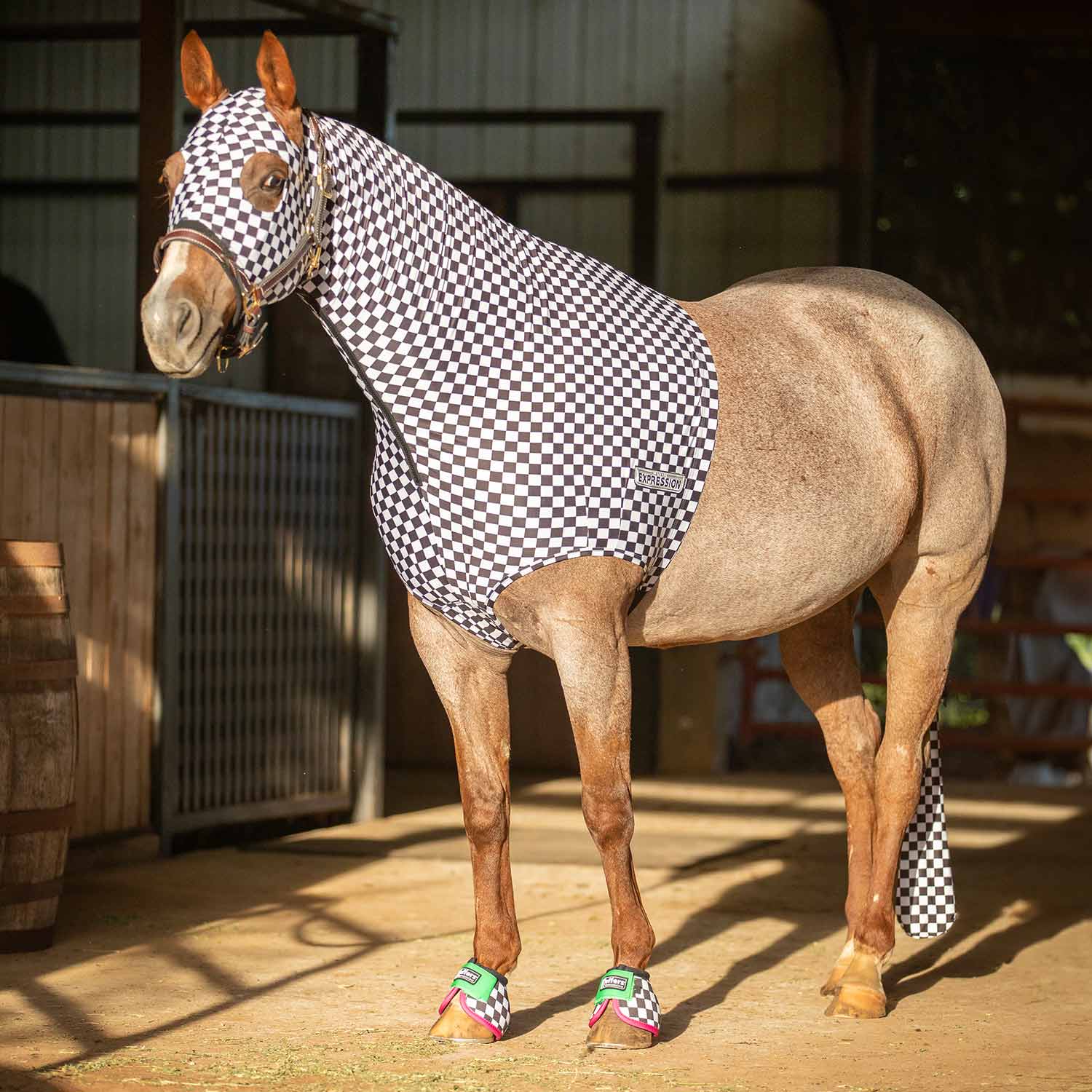 Jeffers Expression Lycra Hood for Horses in black-and-white checker pattern