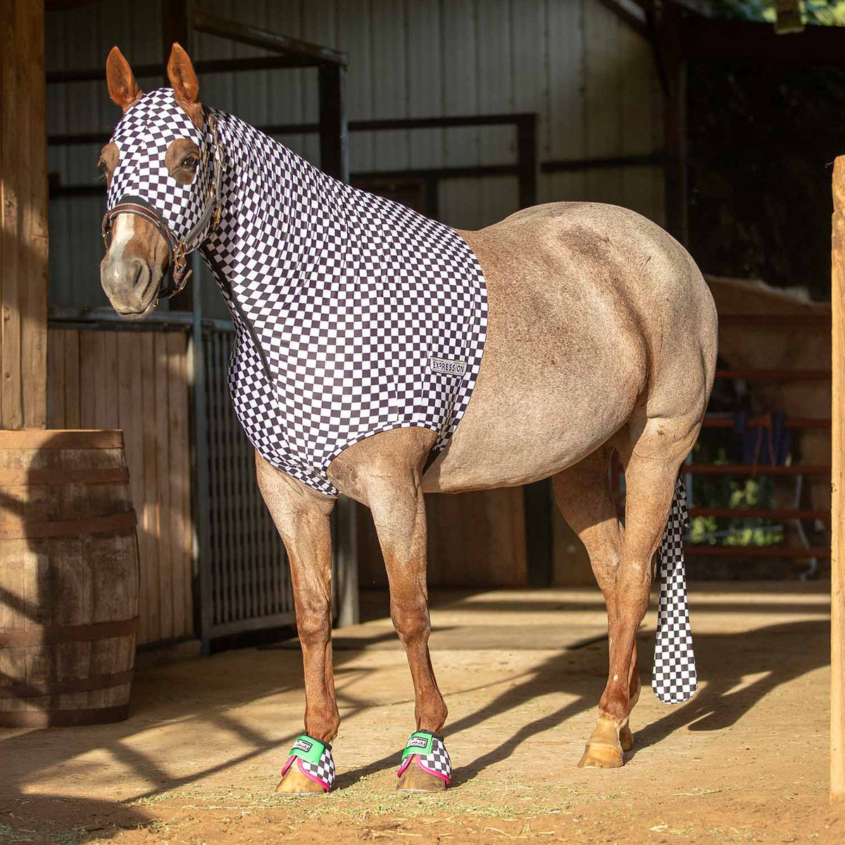 Jeffers Expression Lycra Hood for Horses with black-and-white checker pattern