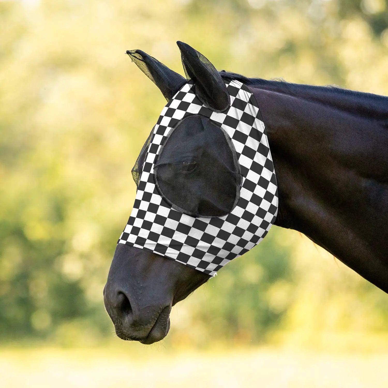 Jeffers Expression Lycra Horse Fly Mask with Ears on a black horse with black-and-white checkerboard pattern