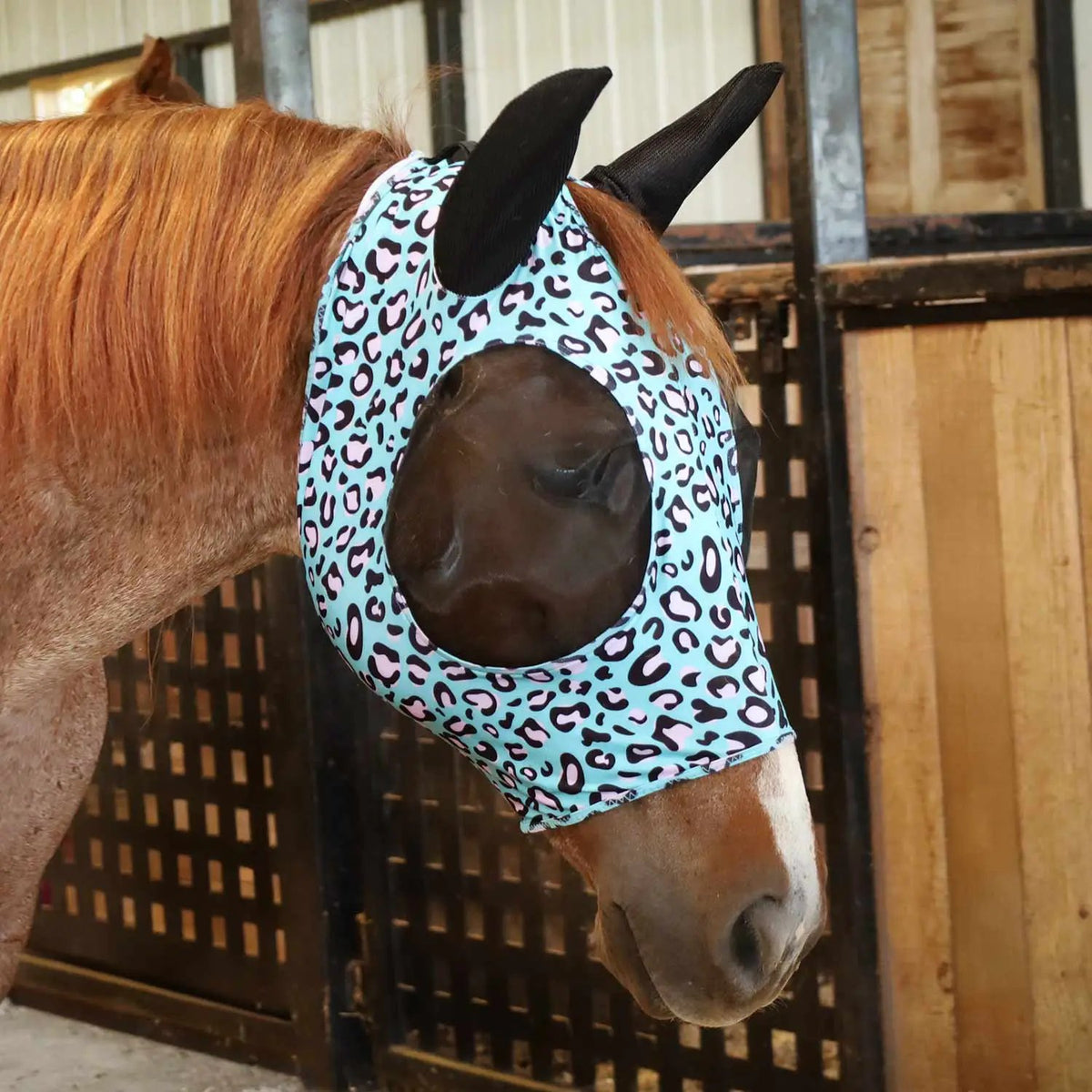 Jeffers Expression Lycra Horse Fly Mask with Ears in turquoise leopard print