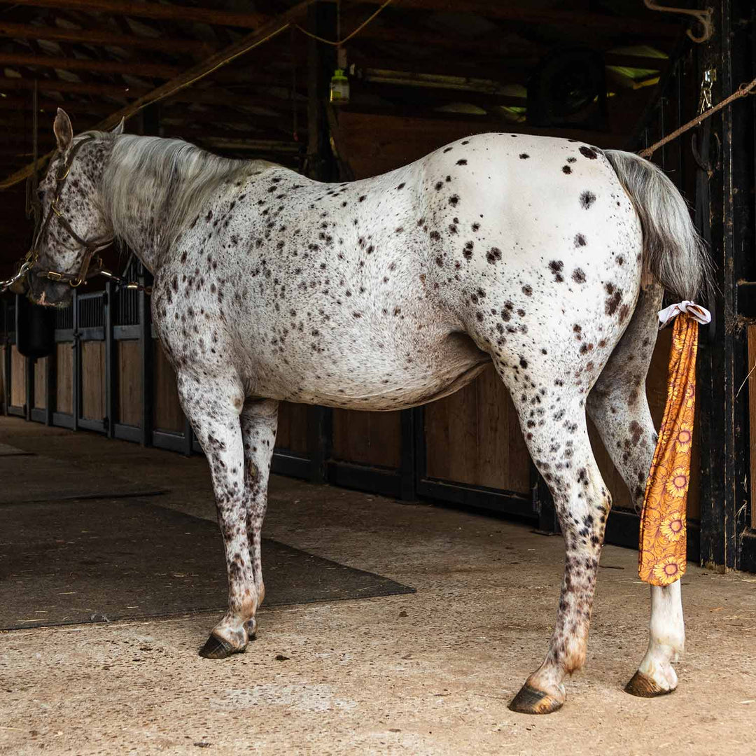 Jeffers Expression Lycra Horse Tail Bag, 24-inch long, on a spotted gray horse in a barn.