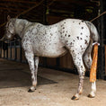 Load image into Gallery viewer, Jeffers Expression Lycra Horse Tail Bag, 24-inch long, on a spotted gray horse in a barn.
