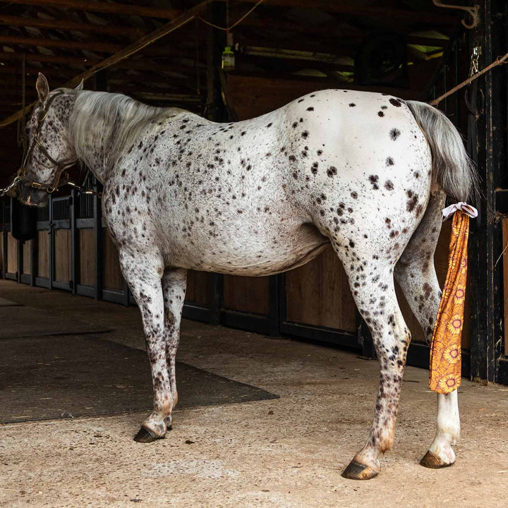 Jeffers Expression Lycra Horse Tail Bag, 24-inch long, on a spotted gray horse in a barn.