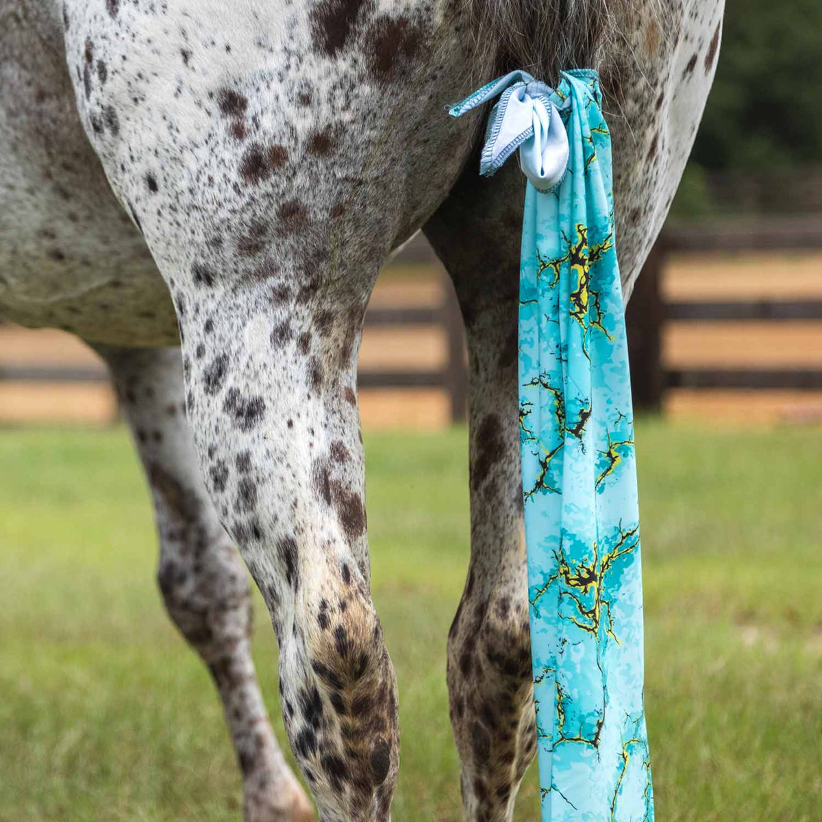 Jeffers Expression Lycra Horse Tail Bag, 24 inches long, turquoise patterned tail wrap on a speckled horse.