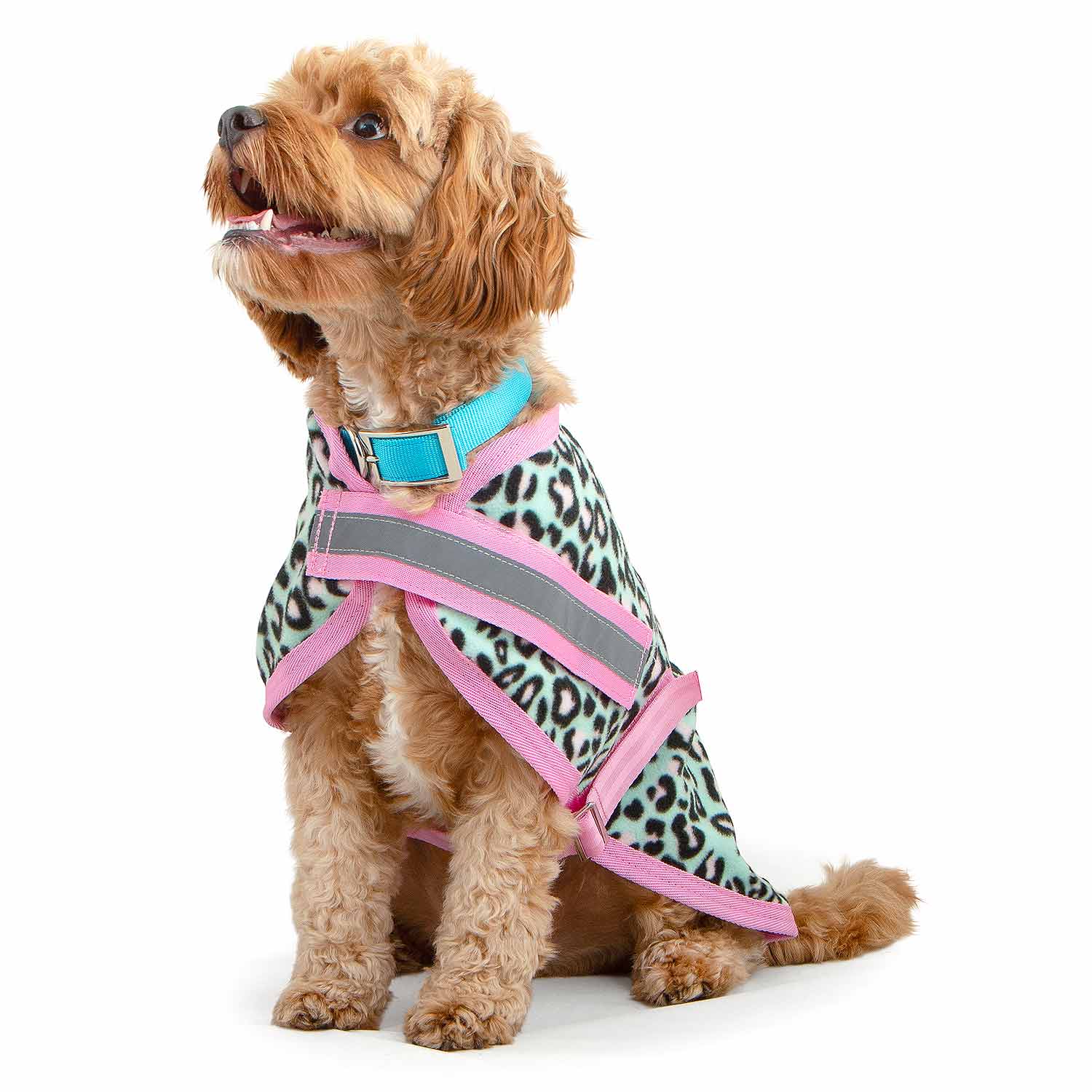 Jeffers Expression moisture-wicking fleece dog coat with pink trim and leopard-print pattern on a small dog.