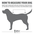 Cargar la imagen en la vista de la galería, Jeffers Expression 600D waterproof ripstop dog coat, 240g; sizing guide illustration with a dog silhouette.
