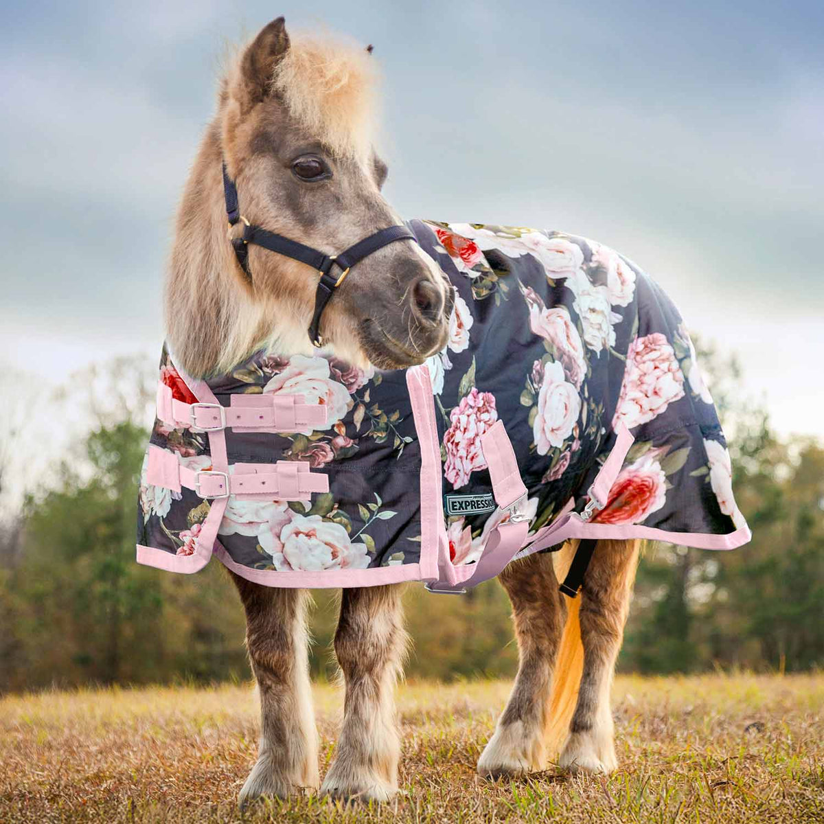 Jeffers Expression Pony turnout blanket, 1200 denier, floral navy fabric with pink straps, 240g fill.