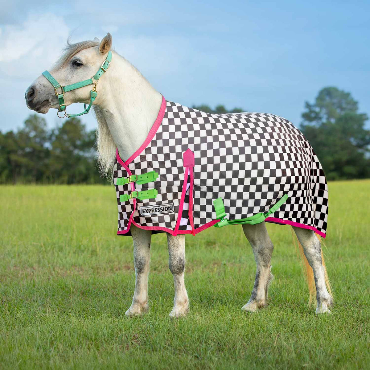Jeffers Expression pony turnout blanket with black-and-white checker pattern, pink trim, and lime green straps.