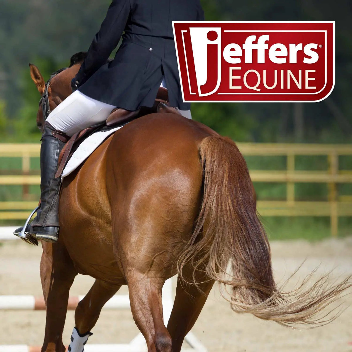 Jeffers Expression Softmesh Combo Neck Horse Fly Sheet on a brown horse with rider; Jeffers Equine logo overlay