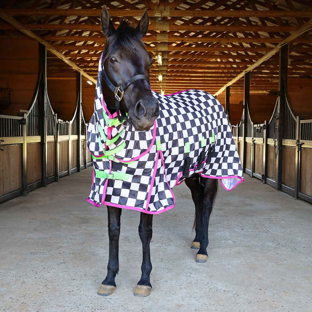 Jeffers Expression Softmesh Combo Neck Horse Fly Sheet on black horse; black-and-white checker pattern with pink trim.