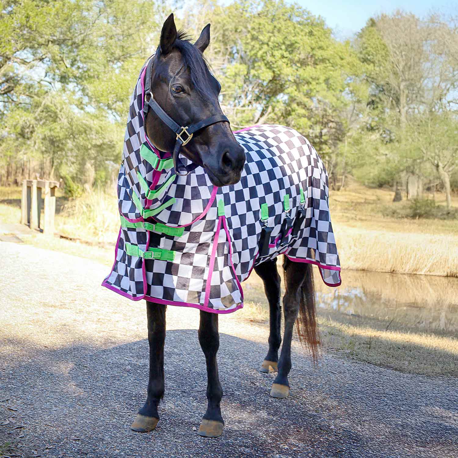 Jeffers Expression Softmesh Combo Neck Horse Fly Sheet black-and-white checkered pattern with pink trim and neon straps.